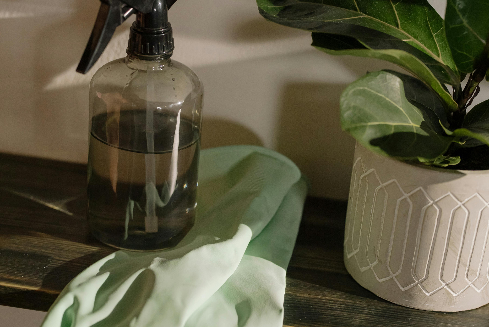 1 Collective Home Clean - Clean blog